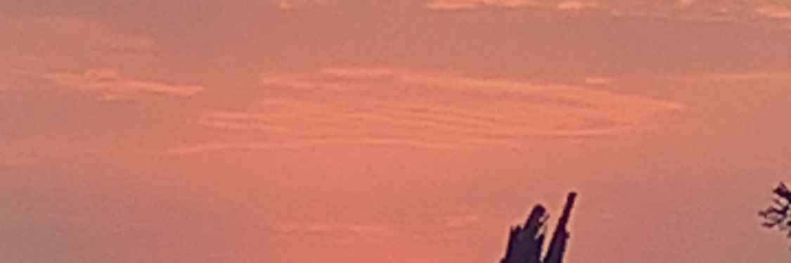 am8338311's profile banner image