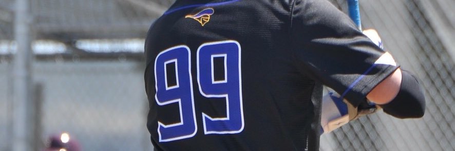 Rivera_2026's profile banner image