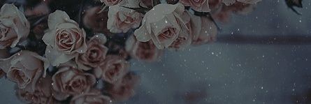 Gwendolyn M. banner