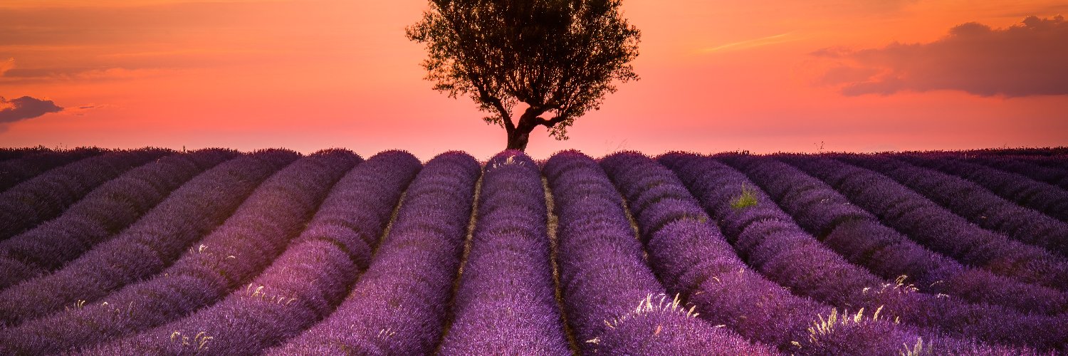 Guy Lebon | 🇫🇷⚜️ banner