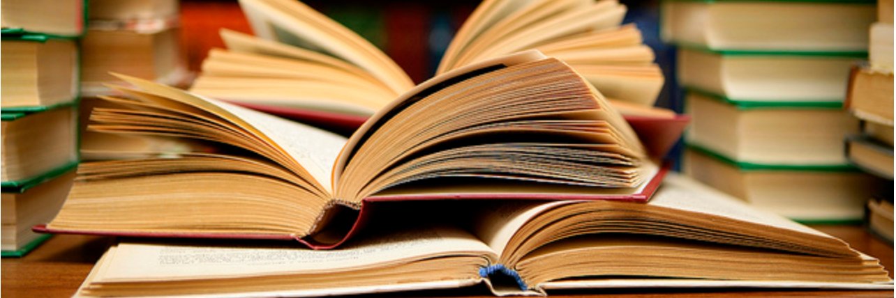 Debra K Every, Author banner