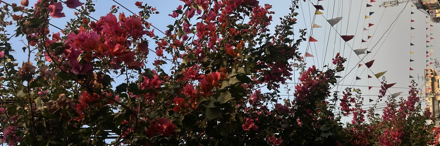 suicidalbaby🌻 banner