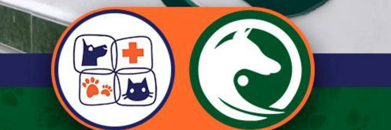 antonivet's profile banner image