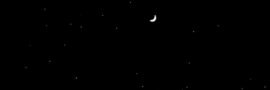 TefiRoberto's profile banner image