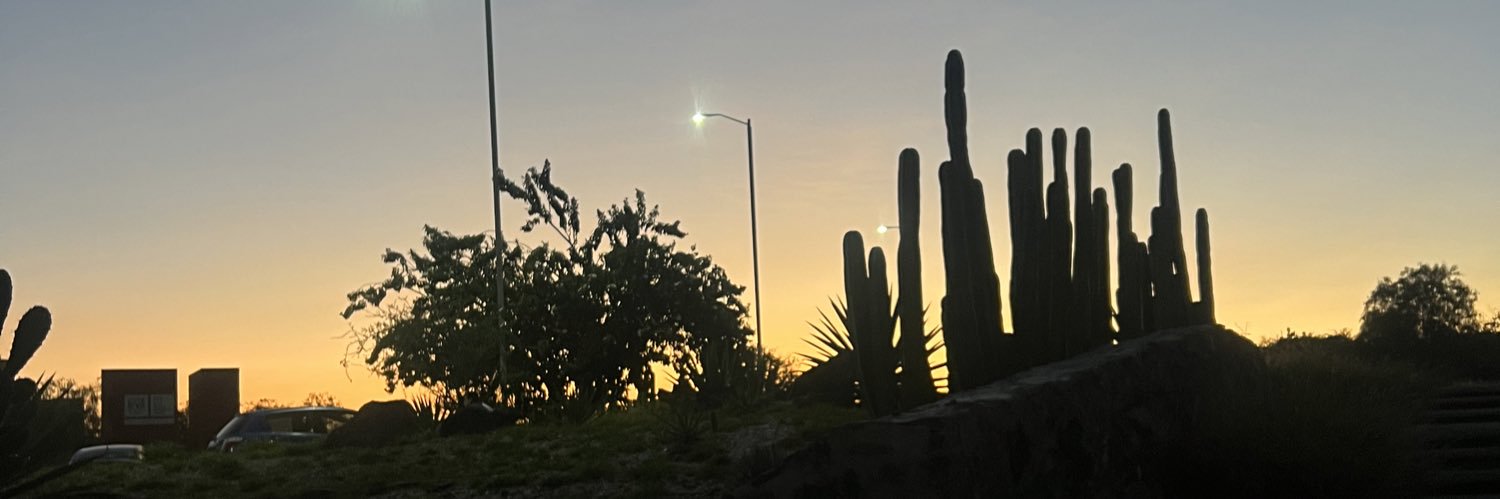 RodriVdW's profile banner image