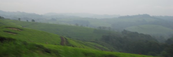 piaraffler Profile Banner