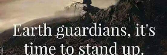 Mariposa Delirante banner