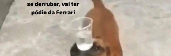 beafonsecal's profile banner image