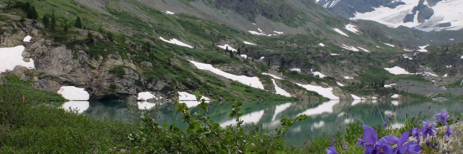 Gill Dummigan banner