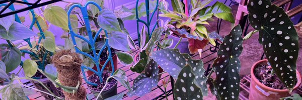 RachRae88 Profile Banner