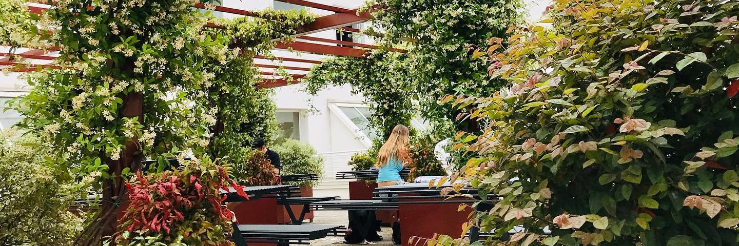 Università degli Studi di Milano-Bicocca banner