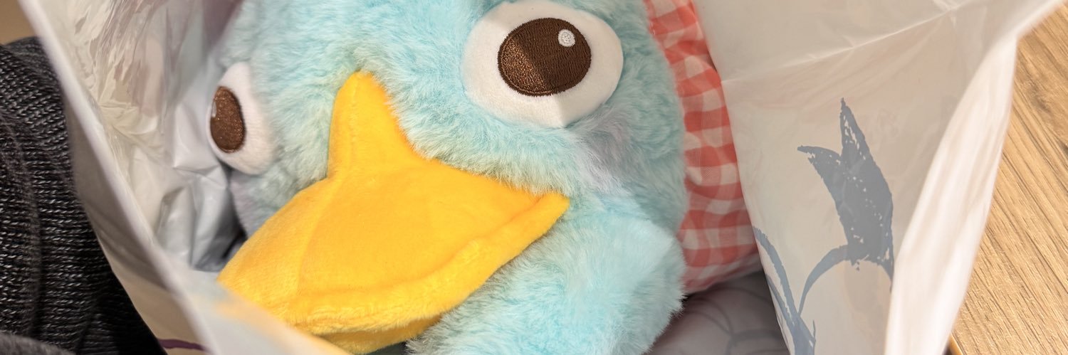 lilnrot's profile banner image
