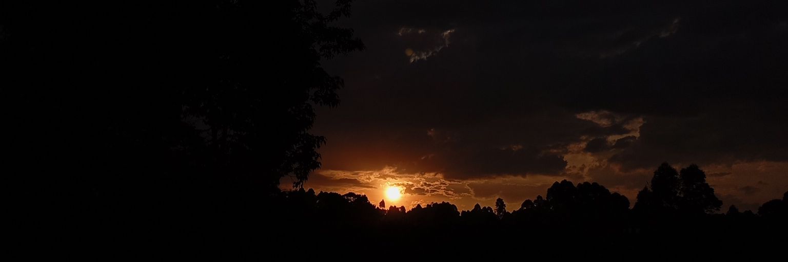 Charity_js's profile banner image