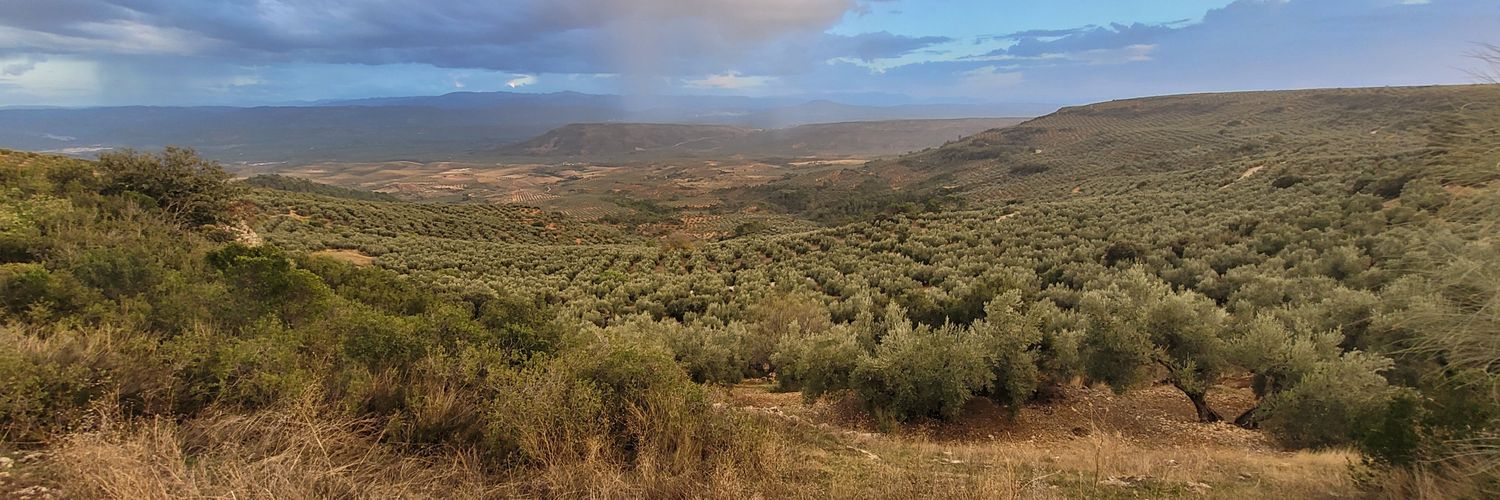 IsmaelNResa's profile banner image