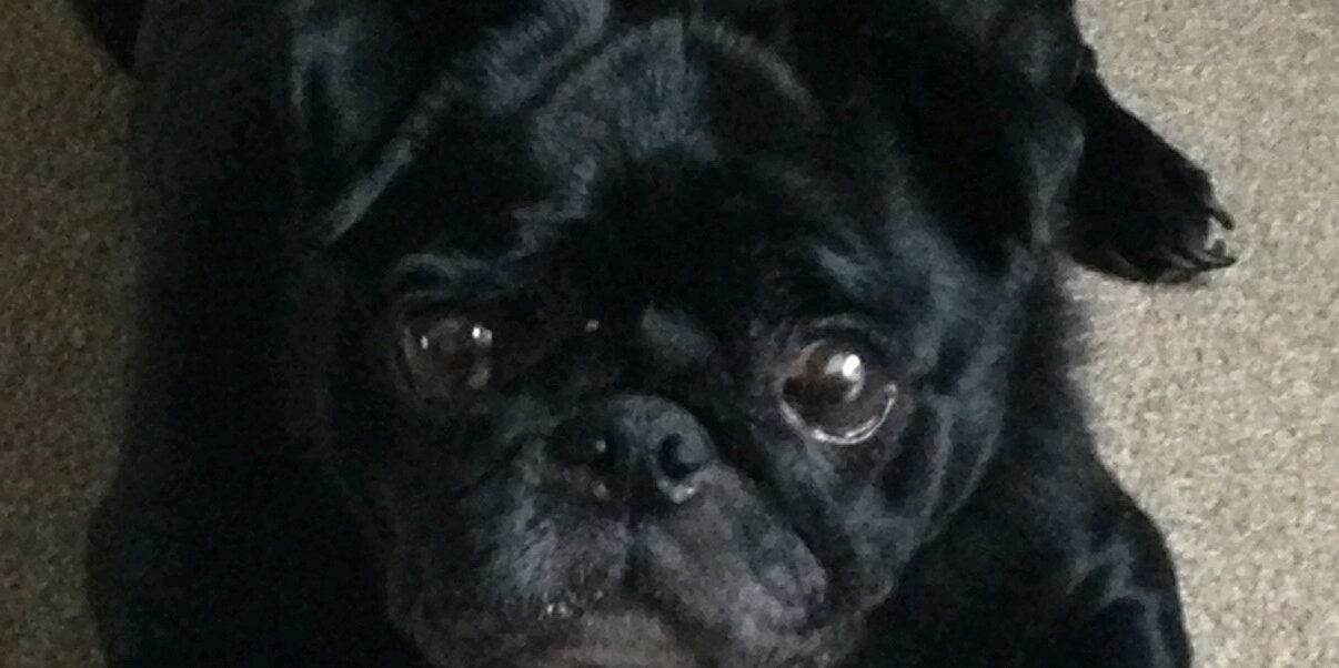 Jacinta Edgar banner