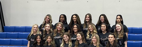 tfasoftball Profile Banner