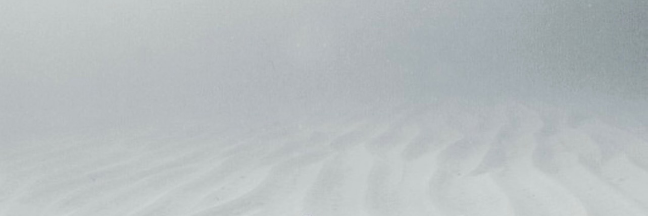 oh_tonelee's profile banner image