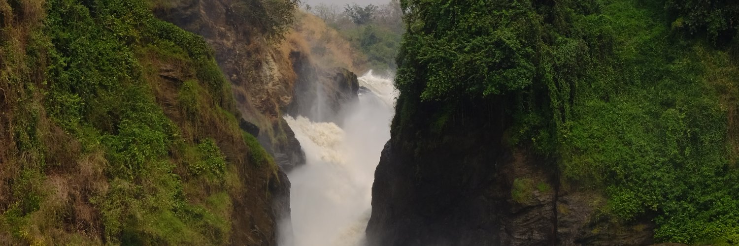Federico M--Former NGO head of mission 🇵🇸 ✊🏿☭ banner
