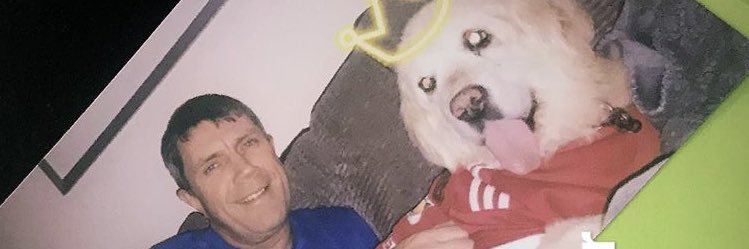 carlyksmith's profile banner image