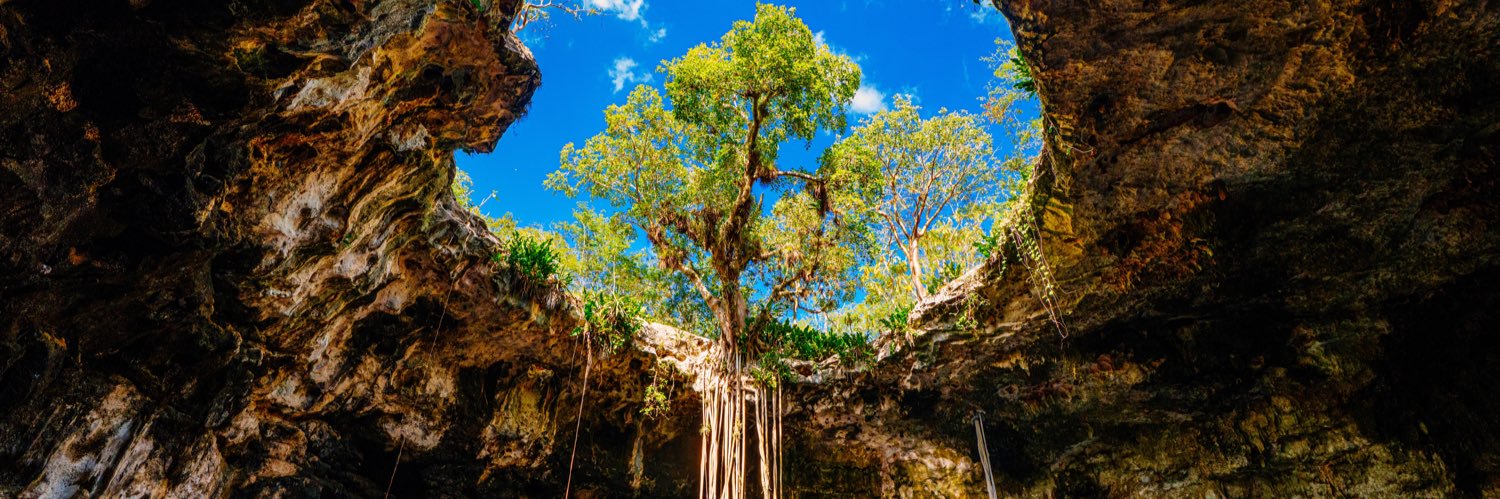 케이채 (K. CHAE) banner