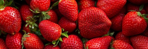 TheSBGirls Profile Banner