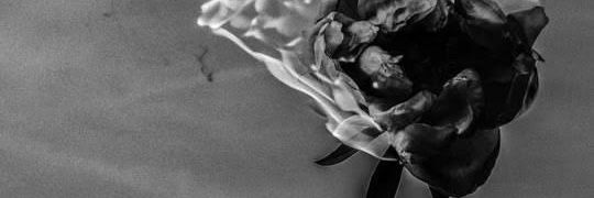 HBensid's profile banner image