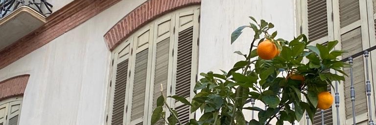 suchaboymendes's profile banner image
