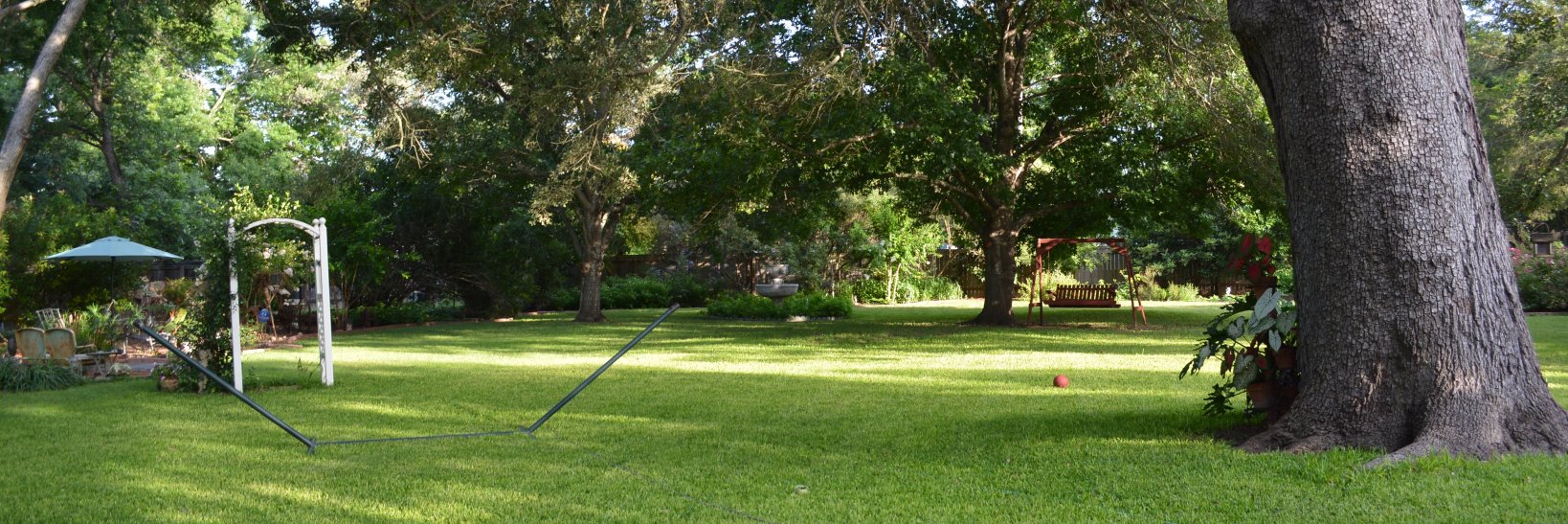 RondaReagan's profile banner image