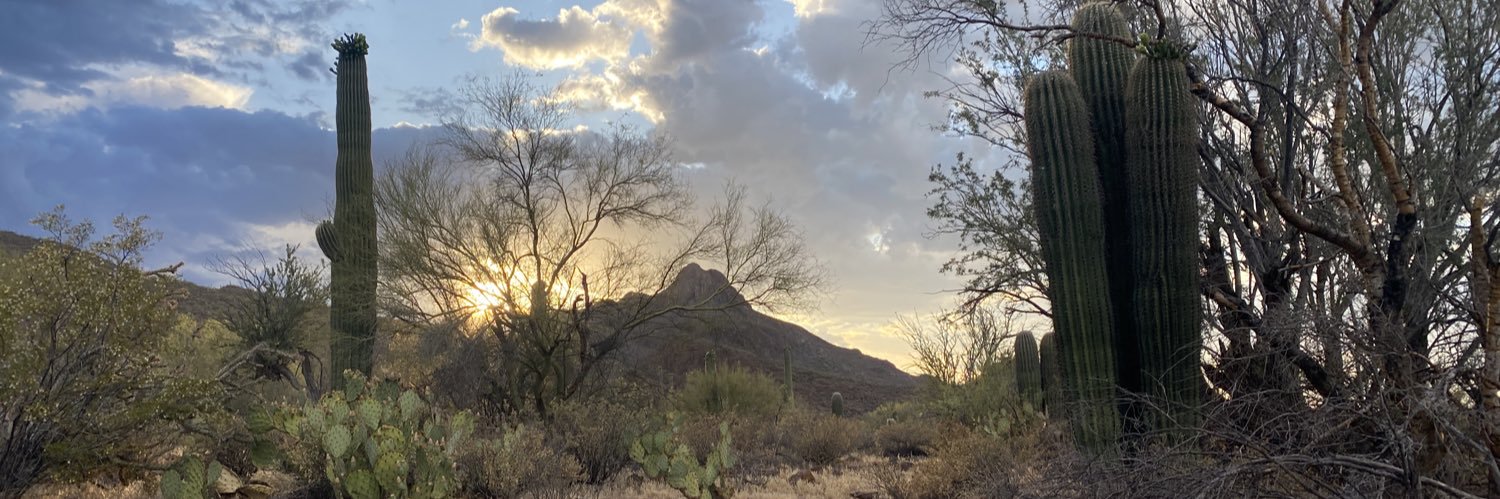 Caleb Simmons banner