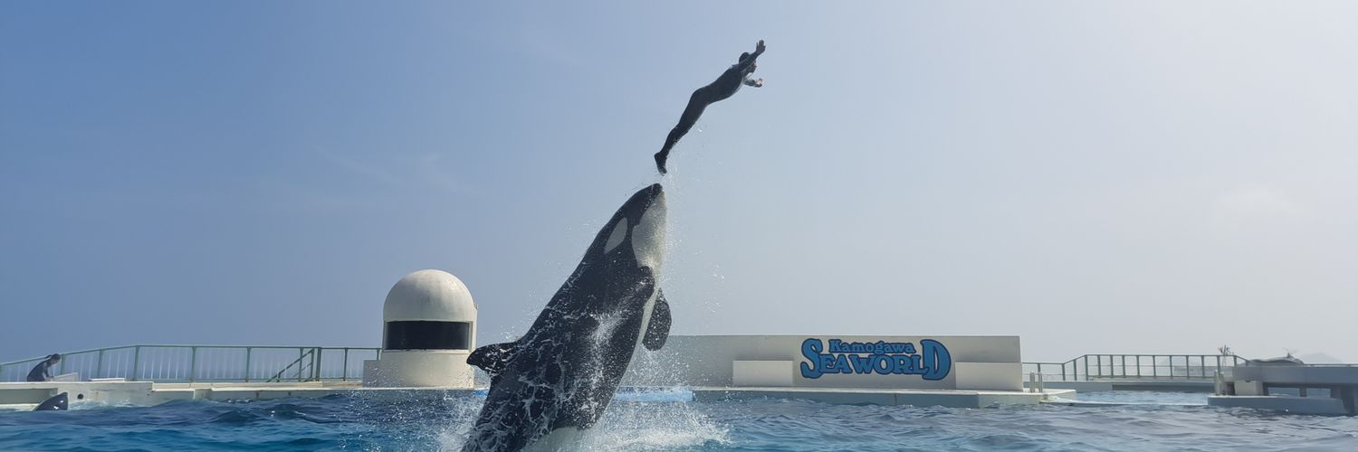 わんぱく@ミカン banner