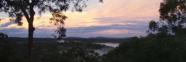 b_medlyn Profile Banner