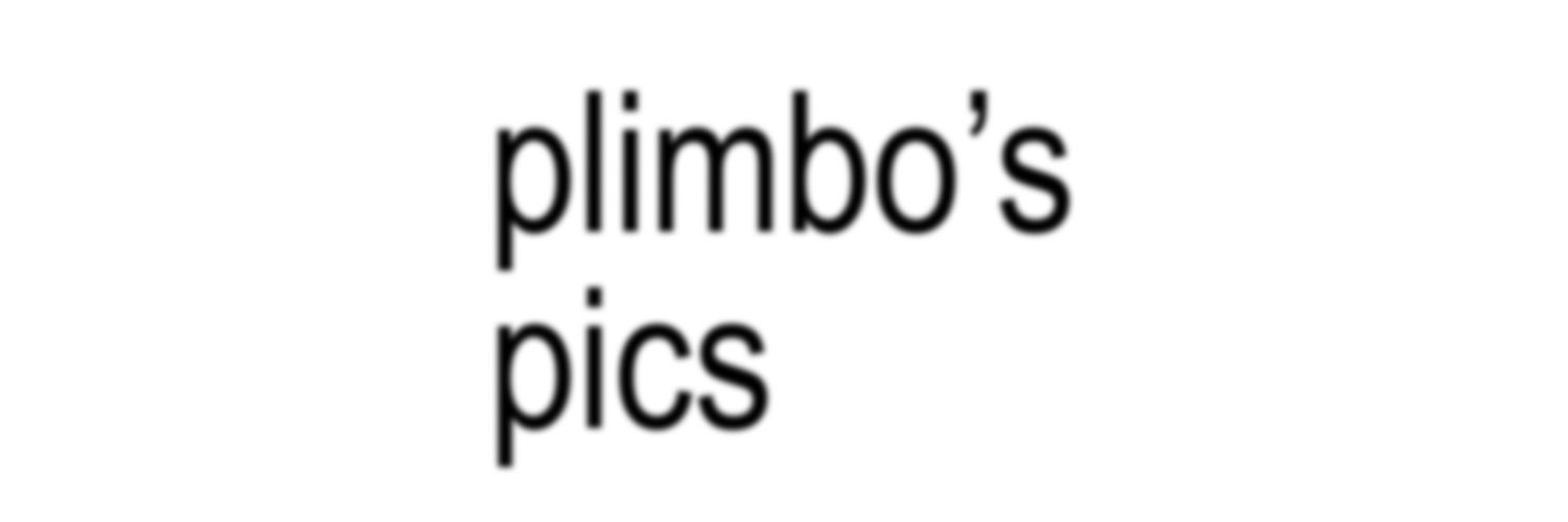 📹 plimbo’s pics banner