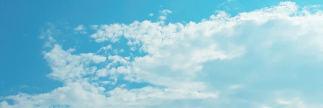 jenidim's profile banner image
