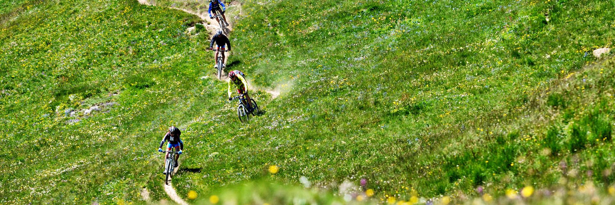 Singletracks MTB banner