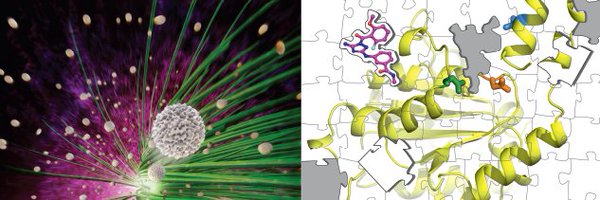 KapoorLab_RU Profile Banner