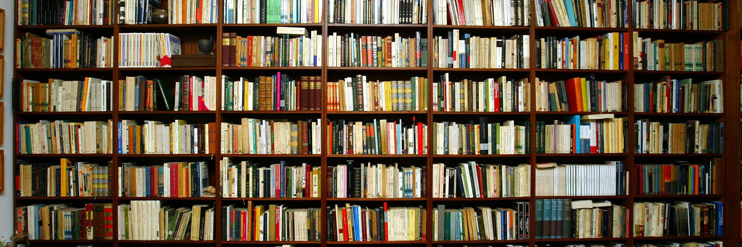 Полка для книг цветная