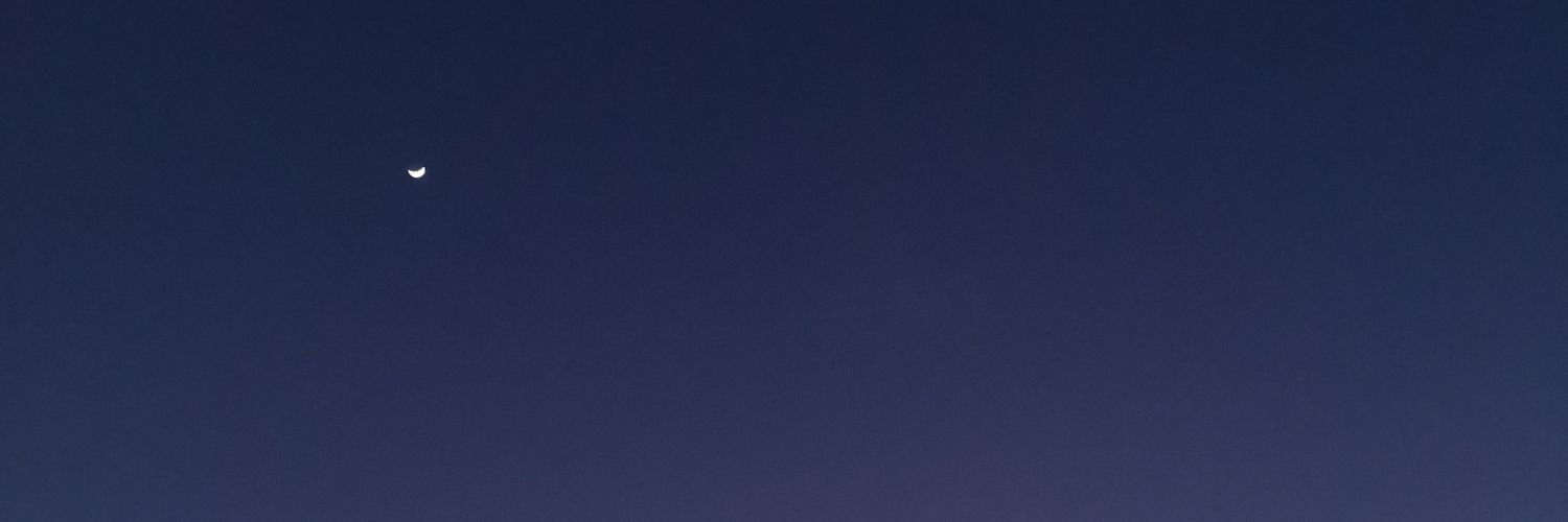 puritypancake's profile banner image