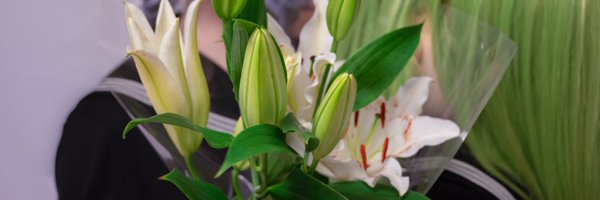 sumomojam_2 Profile Banner