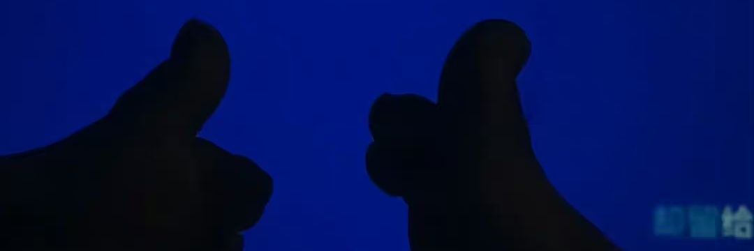 jiangjiangandDD's profile banner image