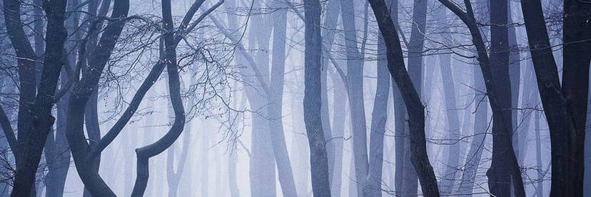 إِبراهِيم banner
