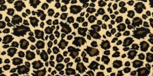 AmbarYael09's profile banner image