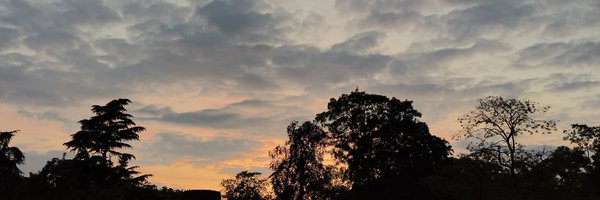 webalorn Profile Banner