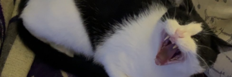 sam banner