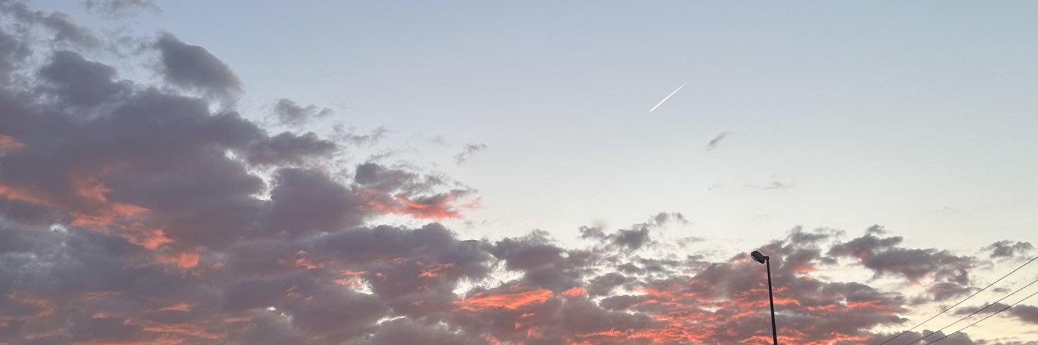 W I L D W I L D banner