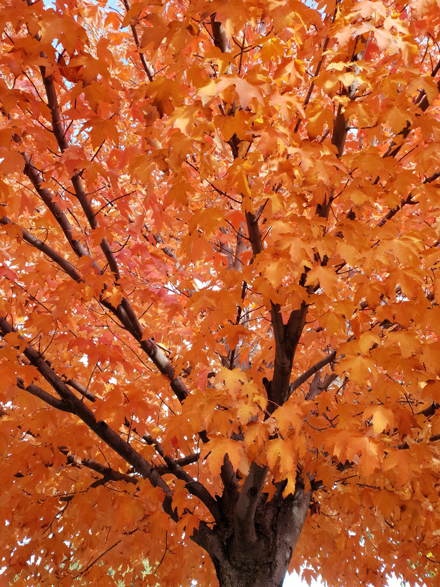 madgab's profile banner image