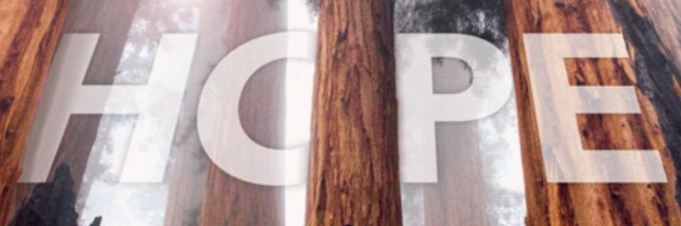 dragonfly17's profile banner image