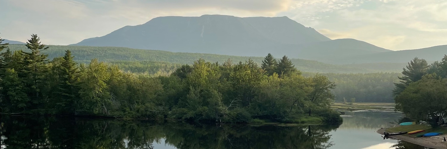 David Costello banner