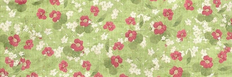 ‎ •᷄ࡇ•᷅ ‎ •᷄ࡇ•᷅ ‎ •᷄ࡇ•᷅ banner