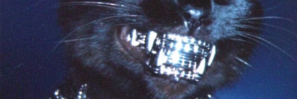 katy banner