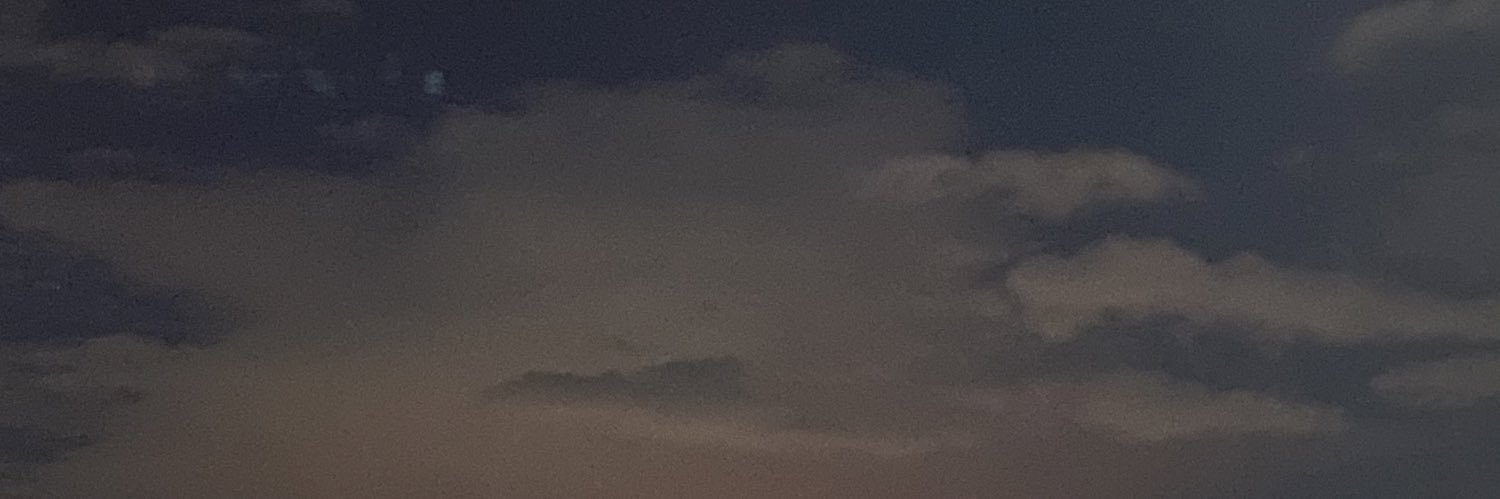 BELLYPANDA's profile banner image